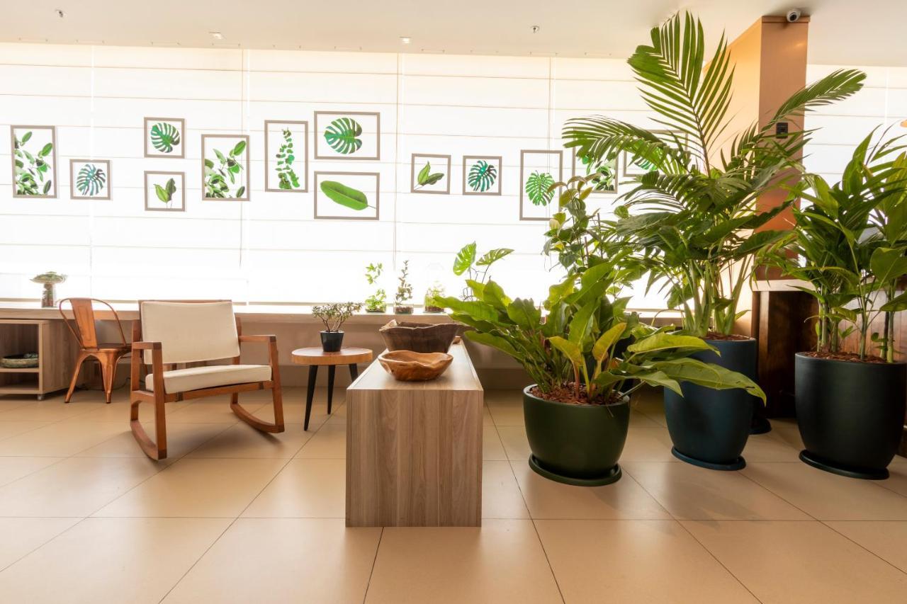 Готель Ibis Styles Curitiba Aeroporto Сан-Жозе-дус-Піняйс Екстер'єр фото