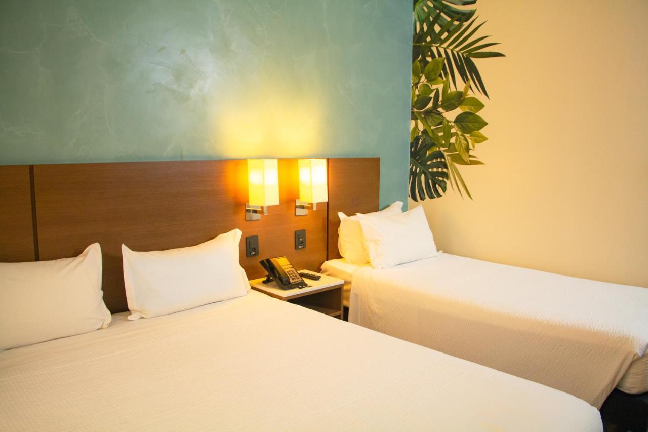 Готель Ibis Styles Curitiba Aeroporto Сан-Жозе-дус-Піняйс Екстер'єр фото